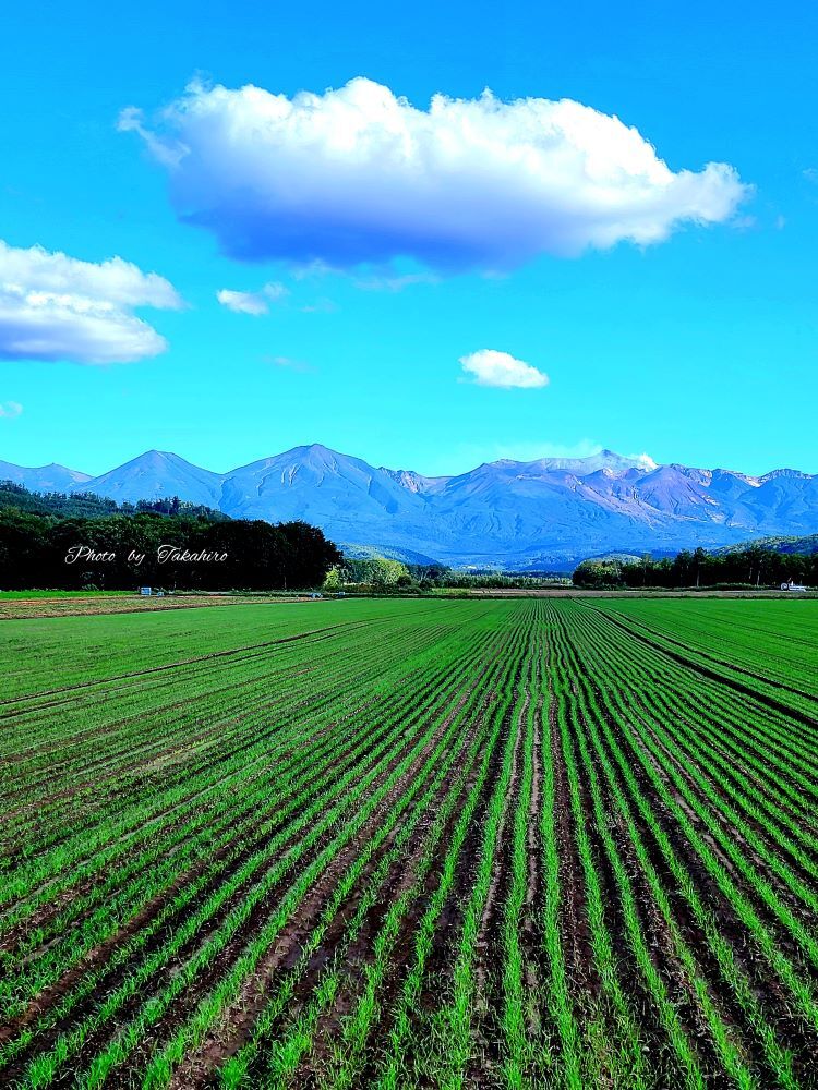 №1004　十勝岳連峰