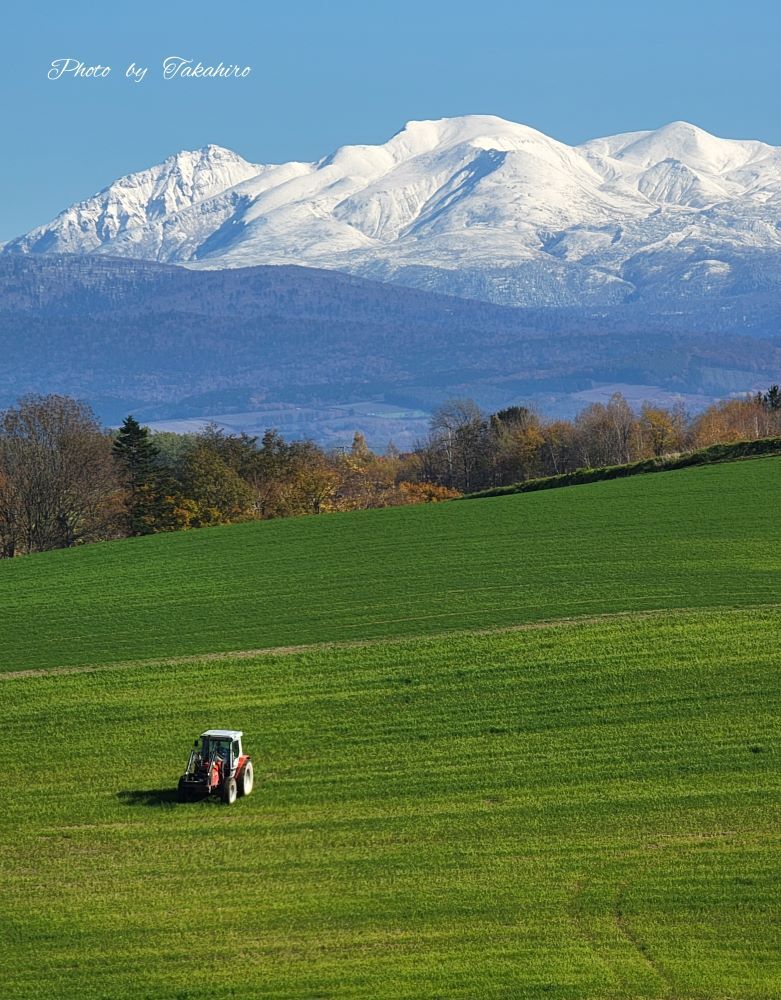 №1186　大雪山