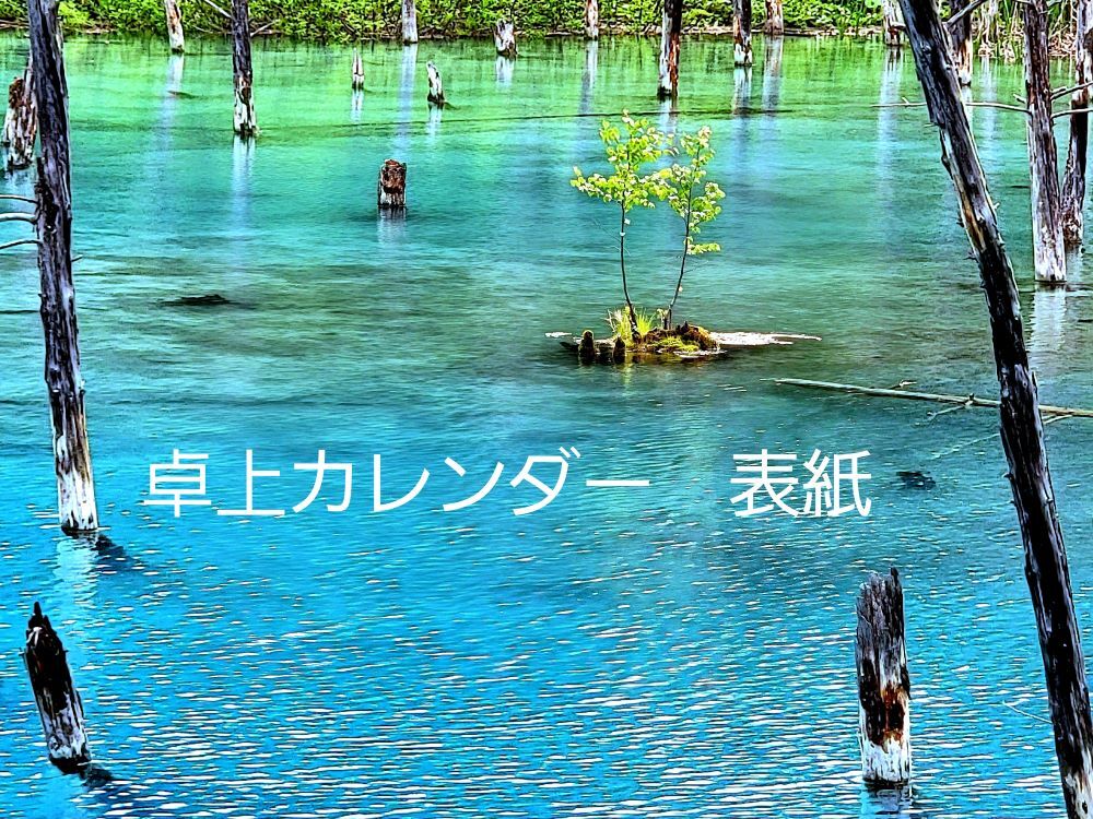 卓上表紙
